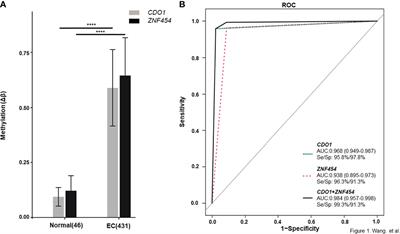 Hypermethylated CDO1 and ZNF454 in Cytological Specimens as Screening Biomarkers for Endometrial Cancer